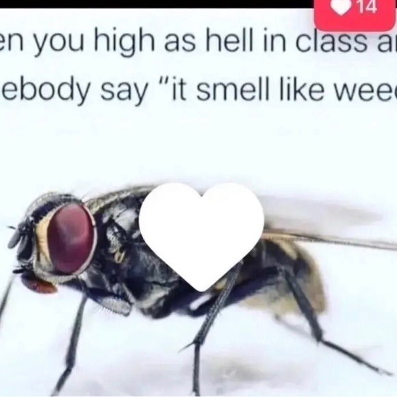 me - Picture 8 of 16